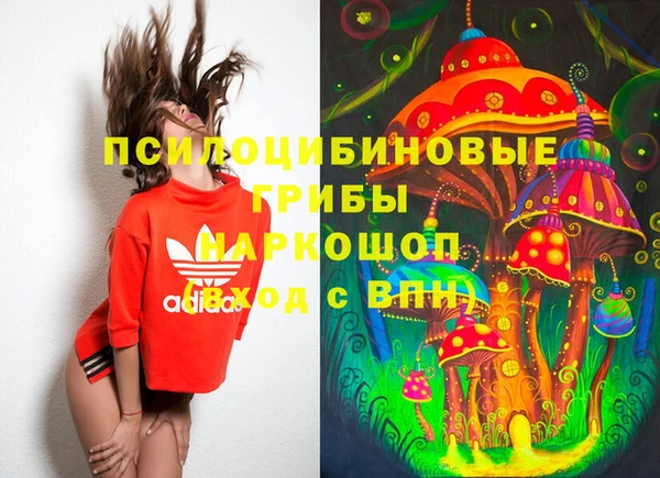 прущая мука Арсеньев